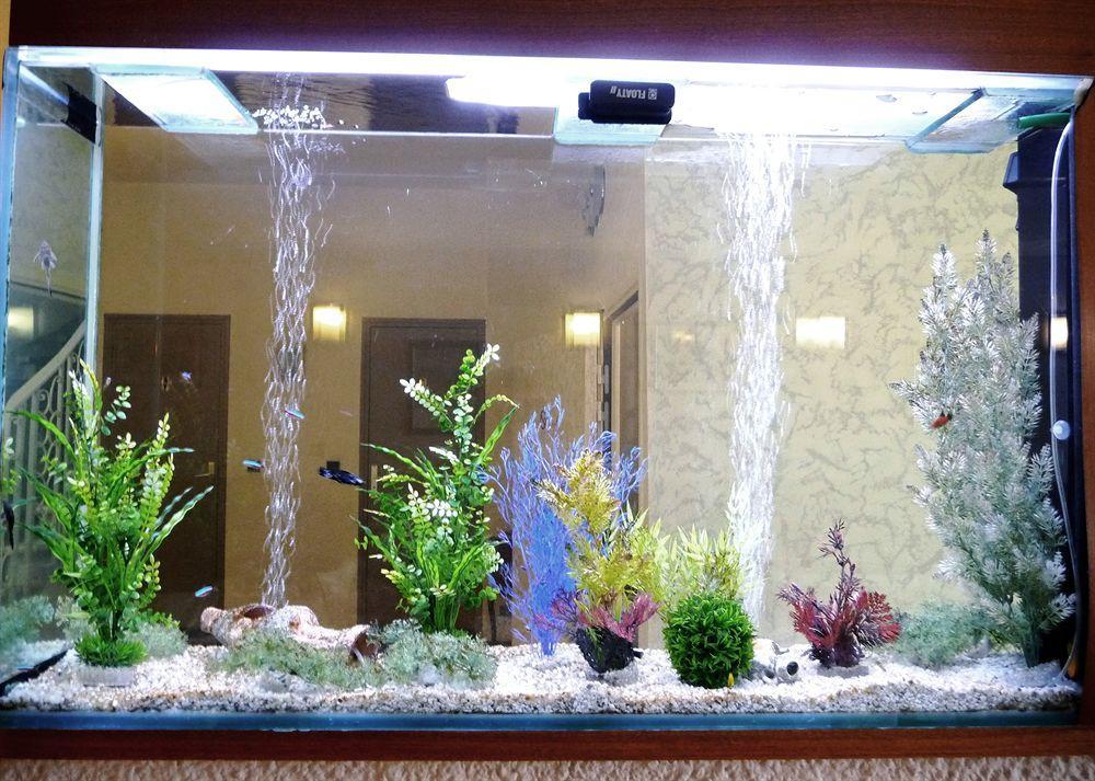 Hotel Alexander แปร์ปินญอง ภายนอก รูปภาพ